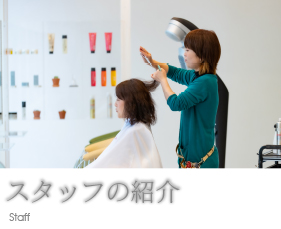 スタッフの紹介